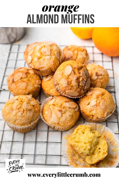 How does Orange Almond Muffin (48754.43) fit into your Daily Goals - calories, carbs, nutrition
