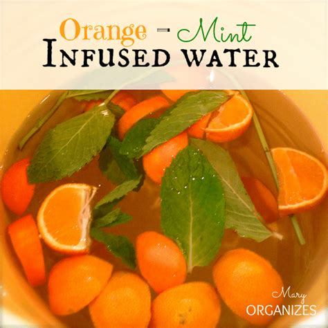 How does Orange Mint Water (81163.2) fit into your Daily Goals - calories, carbs, nutrition