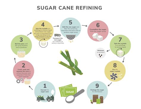 How does Organic Cane Sugar fit into your Daily Goals - calories, carbs, nutrition