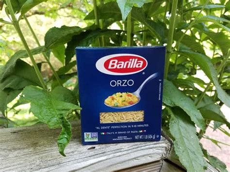 How does Orzo fit into your Daily Goals - calories, carbs, nutrition