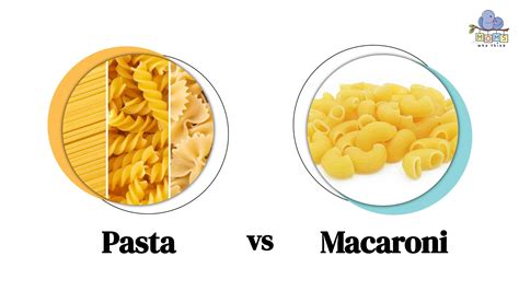 How does Pandinis Pasta Macaroni & Cheese fit into your Daily Goals - calories, carbs, nutrition