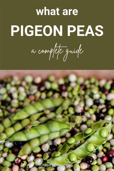 How does Pigeon Peas and Ham Casserole (71176.0) fit into your Daily Goals - calories, carbs, nutrition