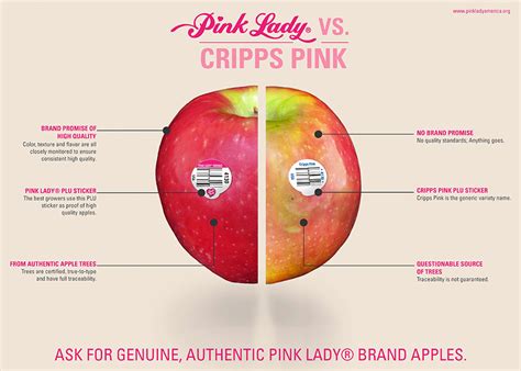 How does Pink Lady Medium fit into your Daily Goals - calories, carbs, nutrition