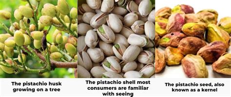 How does Pistachios in Shell fit into your Daily Goals - calories, carbs, nutrition