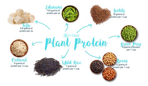 How does Plant Protein Mix fit into your Daily Goals - calories, carbs, nutrition