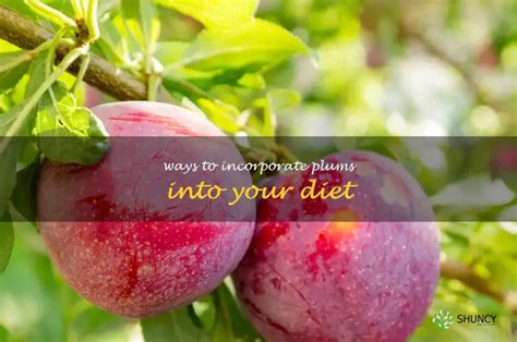 How does Plum, Fresh fit into your Daily Goals - calories, carbs, nutrition