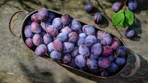 How does Plums fit into your Daily Goals - calories, carbs, nutrition