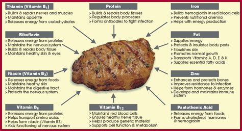 How does Pork Feast fit into your Daily Goals - calories, carbs, nutrition