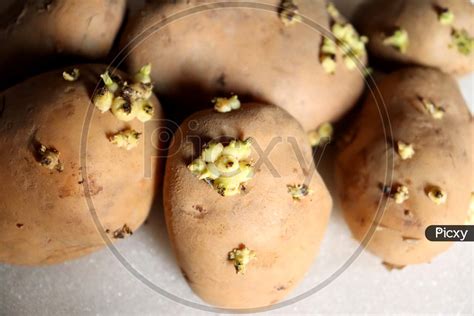 How does Potato Buds fit into your Daily Goals - calories, carbs, nutrition