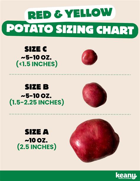 How does Potatoes Red B O'Brien 1 oz fit into your Daily Goals - calories, carbs, nutrition