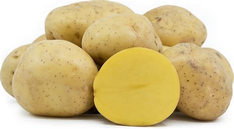 How does Potatoes Yukon Gold Peas & Cauliflower Indian 1/2 Cup fit into your Daily Goals - calories, carbs, nutrition