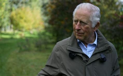 How does Prince Charles Vegetable Blend fit into your Daily Goals - calories, carbs, nutrition