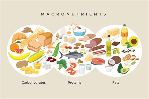 How does Protein Break fit into your Daily Goals - calories, carbs, nutrition