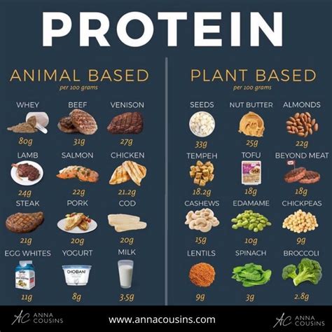 How does Protein fit into your Daily Goals - calories, carbs, nutrition