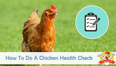 How does Quarter Chicken Health Check fit into your Daily Goals - calories, carbs, nutrition