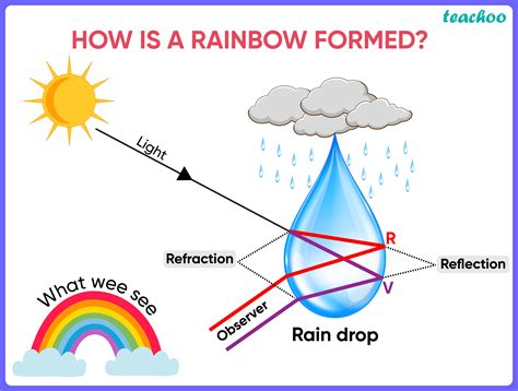 How does Rainbow fit into your Daily Goals - calories, carbs, nutrition