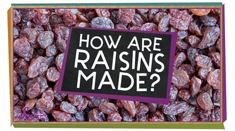 How does Raisin & Oatmeal Cookie fit into your Daily Goals - calories, carbs, nutrition