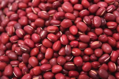 How does Red Bean & Pork Chili fit into your Daily Goals - calories, carbs, nutrition