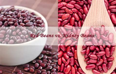 How does Red Bean Base fit into your Daily Goals - calories, carbs, nutrition