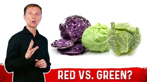 How does Red Cabbage fit into your Daily Goals - calories, carbs, nutrition