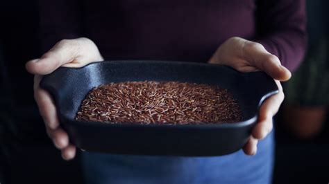 How does Red Rice fit into your Daily Goals - calories, carbs, nutrition