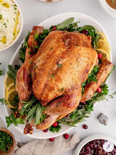 How does Roast Turkey (37207.0) fit into your Daily Goals - calories, carbs, nutrition