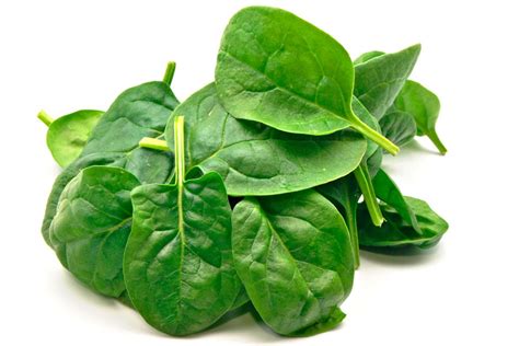 How does SALMIO COM ERVAS, ESPINAFRE E ARROZ fit into your Daily Goals - calories, carbs, nutrition