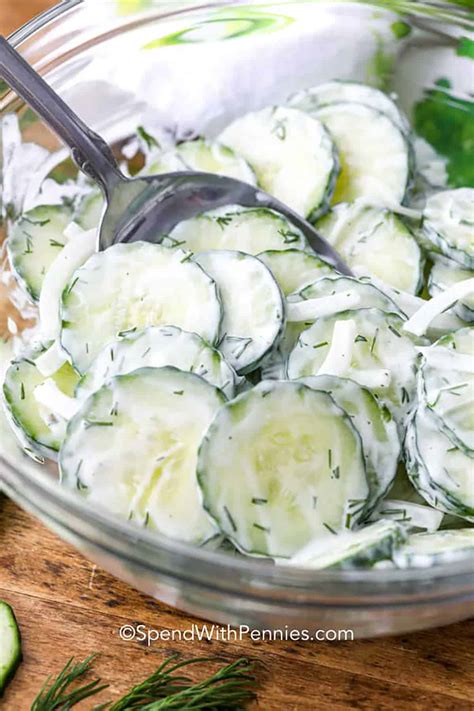 How does Salad Cucumber & Onion Pickled 3 oz fit into your Daily Goals - calories, carbs, nutrition