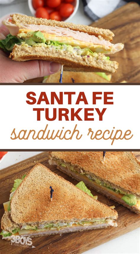 How does Sante Fe Turkey on Sandwich Thin fit into your Daily Goals - calories, carbs, nutrition