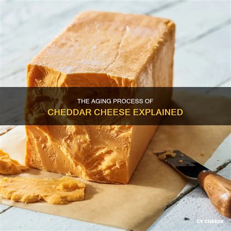 How does Sauce Cheddar Cheese Aged CONV #16 Scoop fit into your Daily Goals - calories, carbs, nutrition