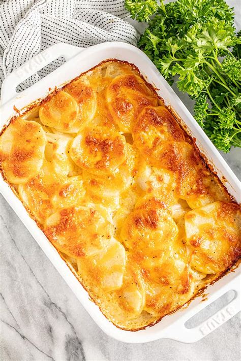 How does Scalloped Potato fit into your Daily Goals - calories, carbs, nutrition