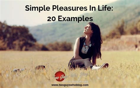 How does Simple Pleasures fit into your Daily Goals - calories, carbs, nutrition