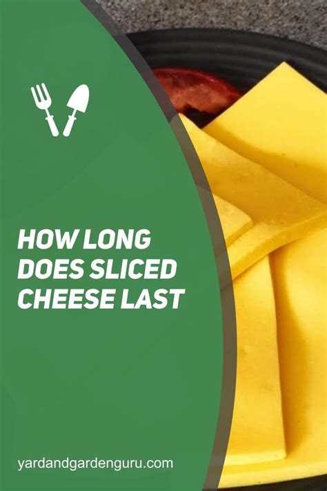 How does Sliced Cheese fit into your Daily Goals - calories, carbs, nutrition