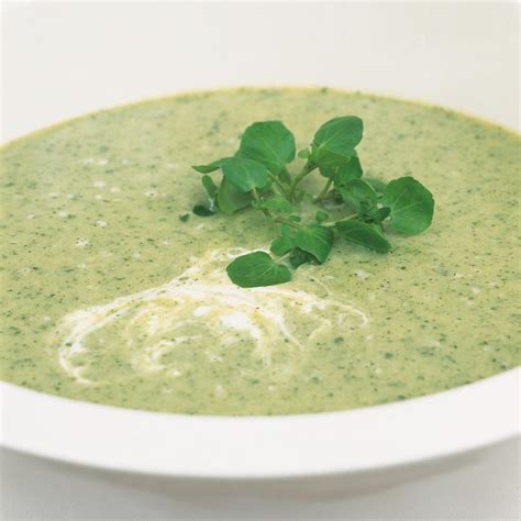 How does Soup Vichyssoise with Watercress 4 oz fit into your Daily Goals - calories, carbs, nutrition