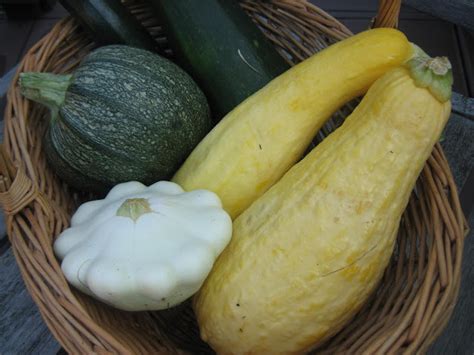 How does Southeast Asian Coconut Zucchini fit into your Daily Goals - calories, carbs, nutrition