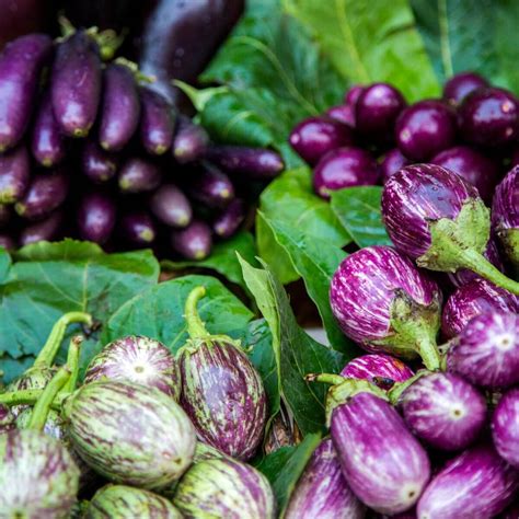 How does Southwest Eggplant fit into your Daily Goals - calories, carbs, nutrition