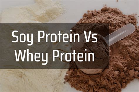 How does Soy Protein Shake fit into your Daily Goals - calories, carbs, nutrition