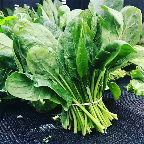 How does Spinach & Ricotta Bske fit into your Daily Goals - calories, carbs, nutrition