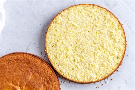 How does Sponge Cake fit into your Daily Goals - calories, carbs, nutrition