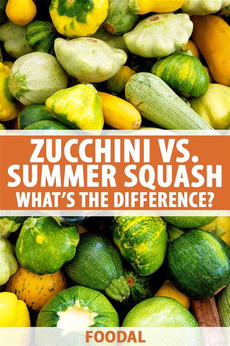 How does Squash, summer, zucchini, italian style, canned fit into your Daily Goals - calories, carbs, nutrition