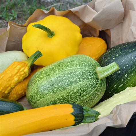 How does Squash & Zucchini Medley fit into your Daily Goals - calories, carbs, nutrition