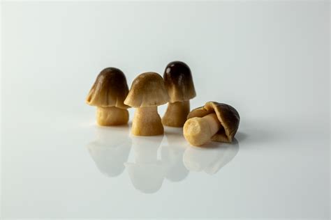 How does Straw Mushrooms (74415.0) fit into your Daily Goals - calories, carbs, nutrition