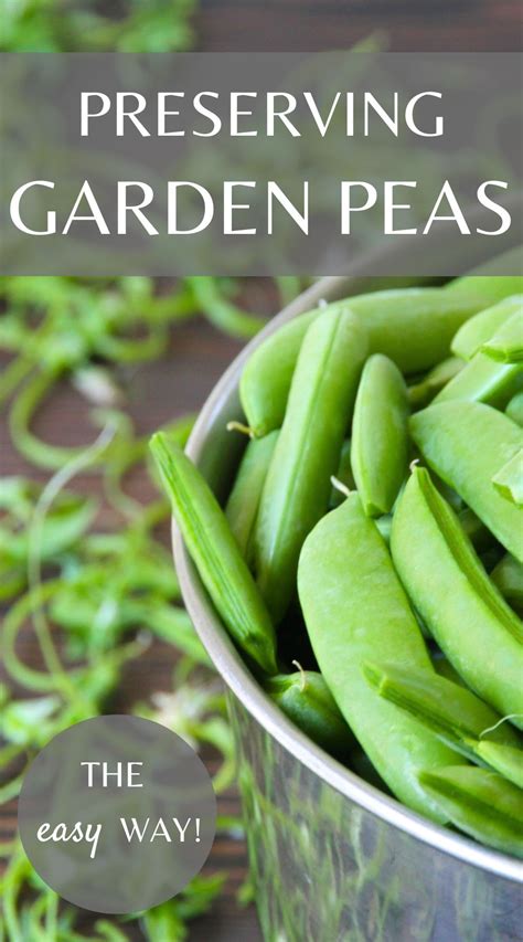 How does Sugar Snap Peas, Frozen fit into your Daily Goals - calories, carbs, nutrition