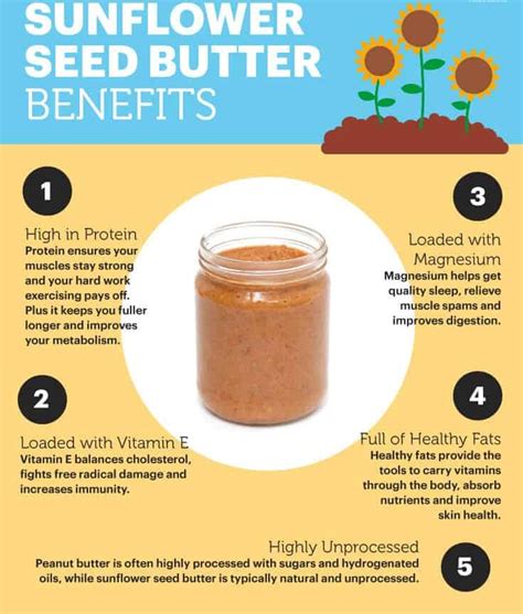 How does Sunflower Seed Butter fit into your Daily Goals - calories, carbs, nutrition