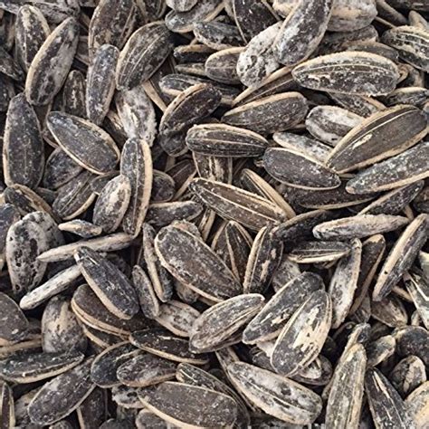 How does Sunflower Seeds Salted fit into your Daily Goals - calories, carbs, nutrition