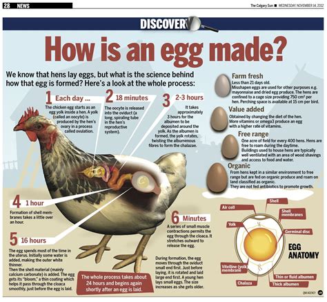 How does Supercharged Chicken - Large fit into your Daily Goals - calories, carbs, nutrition