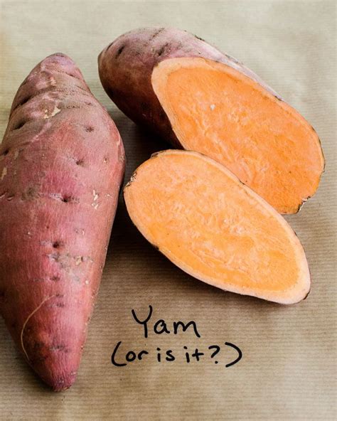 How does Sweet Potato - Yam fit into your Daily Goals - calories, carbs, nutrition