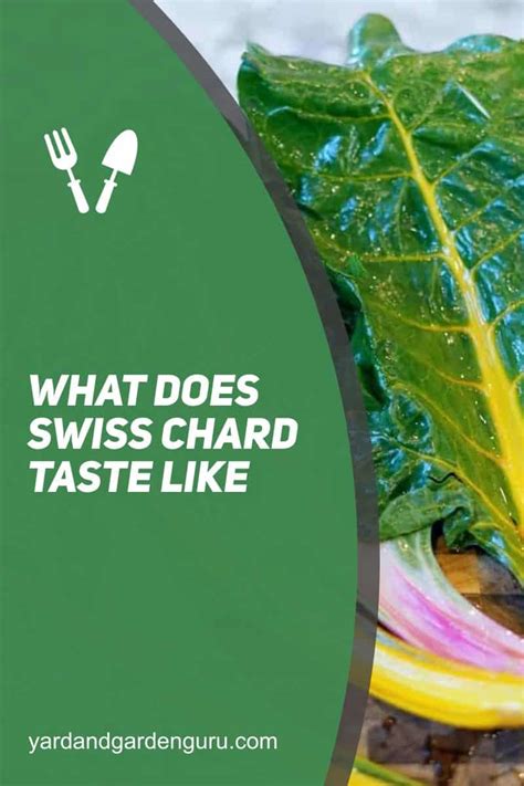 How does Swiss Chard with Tahini fit into your Daily Goals - calories, carbs, nutrition