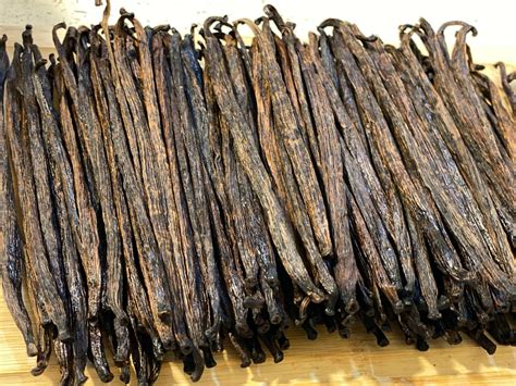 How does Tahitian Vanilla Bean fit into your Daily Goals - calories, carbs, nutrition