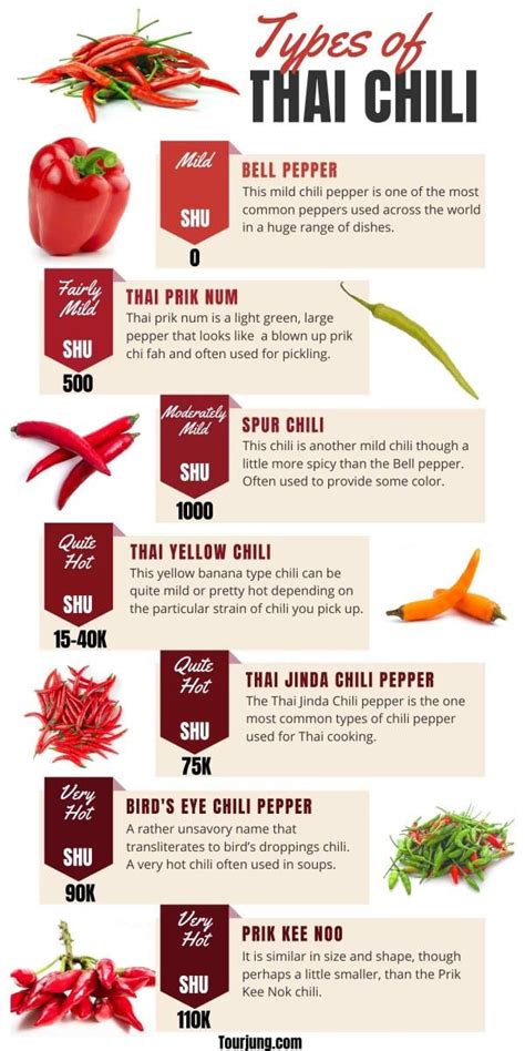 How does Thai Chill & Grill Cod fit into your Daily Goals - calories, carbs, nutrition